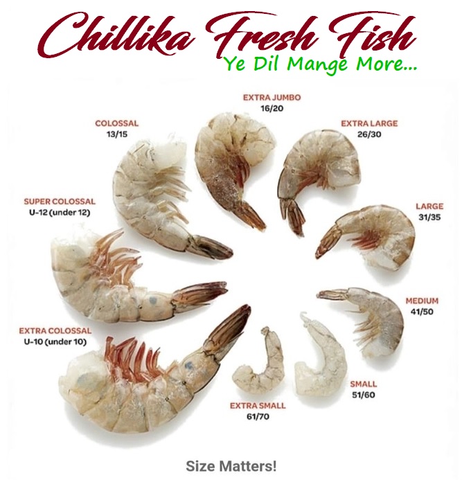 chilika prawn variety